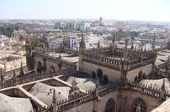 Seville1 (19)